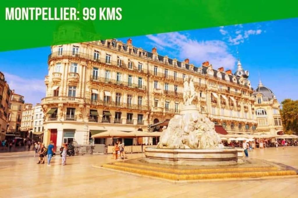 Appartement Le Noe - Ac Clim - Wi-Fi à Avignon Extérieur photo